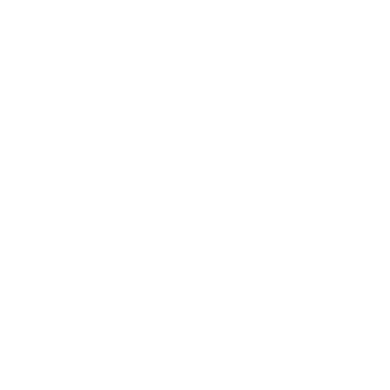 Business icon